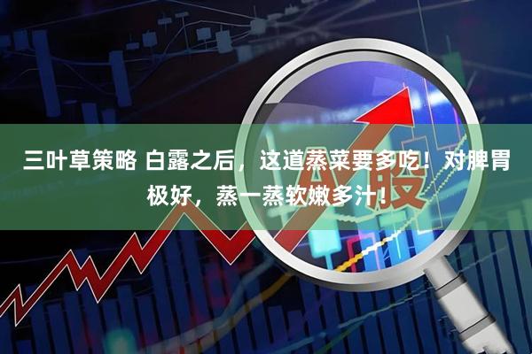 三叶草策略 白露之后，这道蒸菜要多吃！对脾胃极好，蒸一蒸软嫩多汁！
