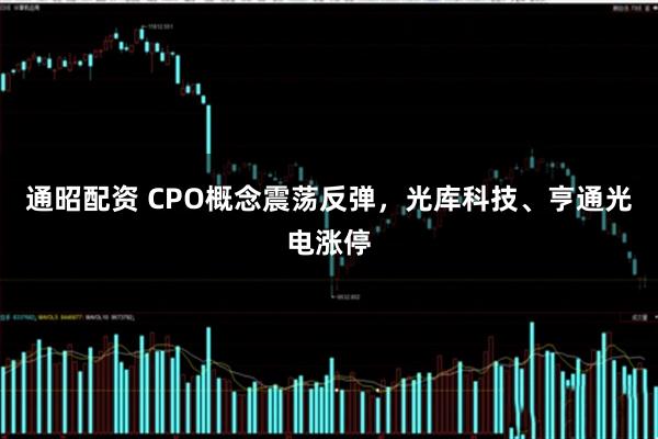 通昭配资 CPO概念震荡反弹，光库科技、亨通光电涨停