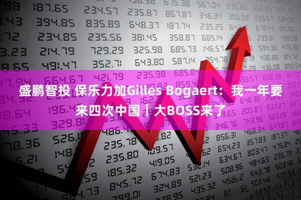盛鹏智投 保乐力加Gilles Bogaert：我一年要来四次中国｜大BOSS来了