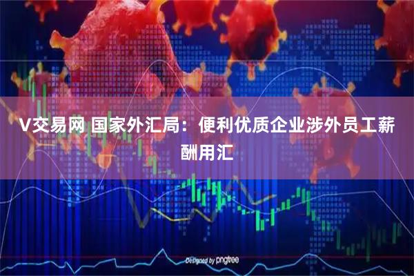 V交易网 国家外汇局:便利优质企业涉外员工薪酬用汇