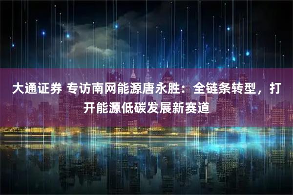 大通证券 专访南网能源唐永胜：全链条转型，打开能源低碳发展新赛道